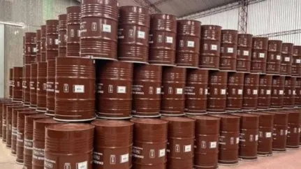 Miel argentina: las razones detrás de un semestre récord el desafío de lo que viene